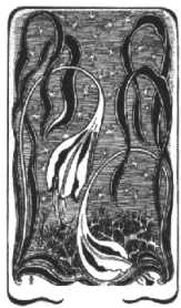 Sp&auml;tsommernachtstraum
